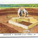 Wills Cigarette Card Garden Hints #4 Making A Water Lily Pool