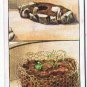 Wills Cigarette Card Garden Hints #6 Planting Water Lilies