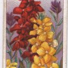 Wills Cigarette Card Garden Flowers #49 Wallflowers