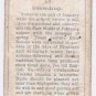 Wills Cigarette Card Garden Flowers #40 Snowdrop
