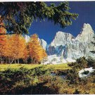 Landscape Postcard Red Autumn Trees Snow Capped Mountains