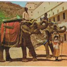 Postcard Elephant Jaipur India