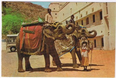 Postcard Elephant Jaipur India