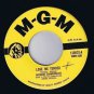 Richard Chamberlain Love Me Tender 45 rpm All I Do Is Dream Of You