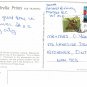 British Columbia Postcard Vancouver Stanley Park BC Place False Creek