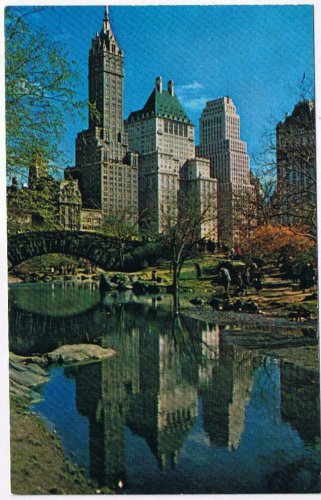 New York Postcard NYC Fifth Avenue Hotels From Central Park
