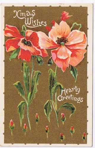 Holiday Postcard Christmas Greetings Poppies Printed In Great Britain