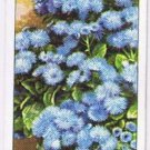 Wills Cigarette Card Garden Flowers #1 Ageratum Floss Flower Imperial Dwarf Blue