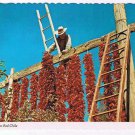 New Mexico Postcard Drying Red Chile Peppers
