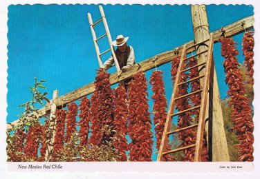 New Mexico Postcard Drying Red Chile Peppers