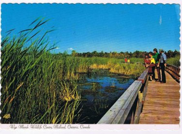 Ontario Postcard Midland Wye Marsh Wildlife Centre