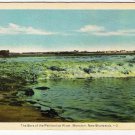 Moncton New Brunswick Postcard Bore of the Petitcodiac River