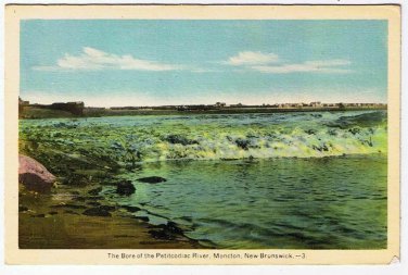 Moncton New Brunswick Postcard Bore of the Petitcodiac River