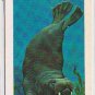 Brooke Bond Red Rose Tea Cards The Arctic #35 Walrus