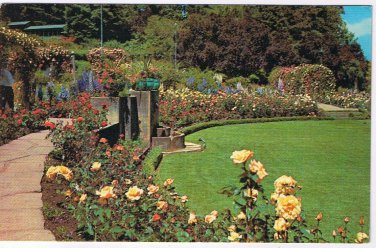Postcard The English Rose Garden Butchart Gardens Victoria British Columbia
