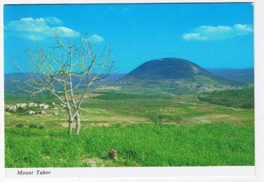 Israel Holy Land Postcard Mount Tabor