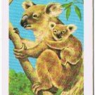 Brooke Bond Red Rose Tea Card #4 Koala Bear Animals & Their Young