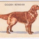 Gravy Train Dog Trading Cards Golden Retriever RARE