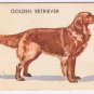 Gravy Train Dog Trading Cards Golden Retriever RARE