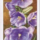 Wills Cigarette Card Garden Flowers #8 Campanula Telham Beauty