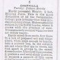 Wills Cigarette Card Garden Flowers #8 Campanula Telham Beauty