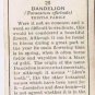 Wills Cigarette Card Wild Flowers #25 Dandelion Thistle Family