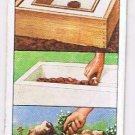 Wills Cigarette Card Garden Hints #8 Making A Miniature Trough Or Sink Garden