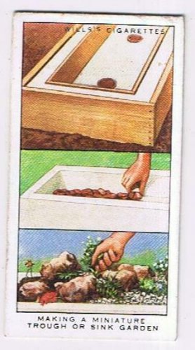 Wills Cigarette Card Garden Hints #8 Making A Miniature Trough Or Sink Garden