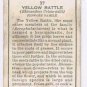 Wills Cigarette Card Wild Flowers #37 Yellow Rattle