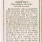 Wills Cigarette Card Wild Flowers #32 Comfrey