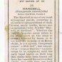 Wills Cigarette Card Wild Flowers #26 Harebell