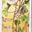 Wills Cigarette Card Wild Flowers #36 Ivy Leaved Toadflax