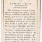 Wills Cigarette Card Wild Flowers #27 Common Heath