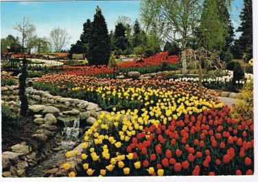 Ontario Postcard Whitby Cullen Gardens & Miniature Village Springtime
