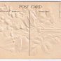 Easter Postcard Embossed Greetings Flowers Glitter G D & D Star Bavaria