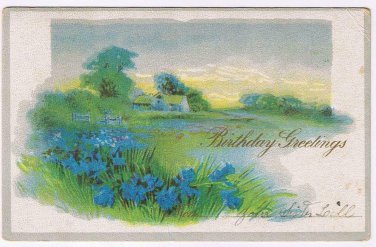 Birthday Postcard Greetings Blue Flowers House By River Crow Raven on Back