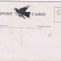 Birthday Postcard Greetings Blue Flowers House By River Crow Raven on Back