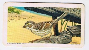 North American Wildlife in Danger Tea Card #30 Ipswich Sparrow Red Rose 1973
