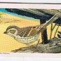 North American Wildlife in Danger Tea Card #30 Ipswich Sparrow Red Rose 1973