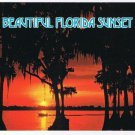 Florida Postcard Spectacular Sunset Trees Ocean