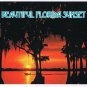 Florida Postcard Spectacular Sunset Trees Ocean
