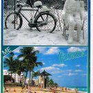 Florida Postcard Thinking Of You From Sunny Florida Ice Sun Larger Card