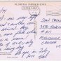 Florida Postcard Thinking Of You From Sunny Florida Ice Sun Larger Card