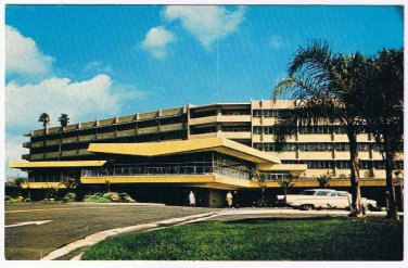 California Postcard San Diego Wesley Palms
