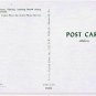 Florida Postcard Miami The Magic City Biscayne Boulevard