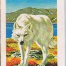 Brooke Bond Red Rose Tea Cards The Arctic #29 Tundra Wolf