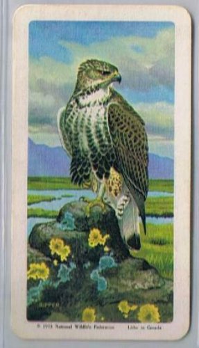 Brooke Bond Red Rose Tea Cards The Arctic #41 Rough Legged Hawk