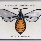 John Player Army Corps Divisional Signs 15 60th London Cigarette Card
