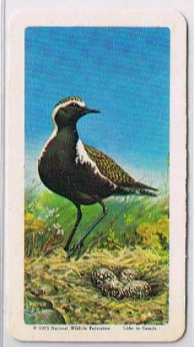 Brooke Bond Red Rose Tea Cards The Arctic #43 Golden Plover