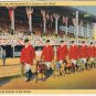 Miami Florida Postcard Greyhounds West Flagler Kennel Club Dog Track Curteich
